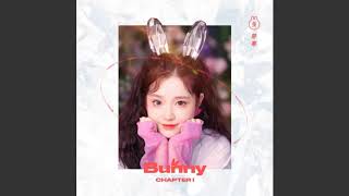 张楚寒 BUNNY ZHANG — 《BUNNY》