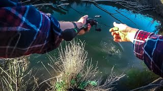 The Final Hunt For Murray Cod