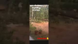 ഈ വീഡിയോ സൂക്ഷിച്ചു കാണുക 👀👀👁️#shorts #littlevlogs