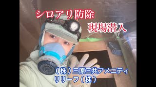 【現場潜入★シロアリ防除】西日本シロアリ・ハチ駆除センター