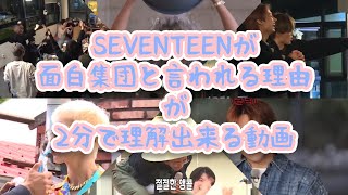 セブチが面白集団だと言われる理由が2分で(多分)理解出来る動画【SEVENTEEN/세븐틴】