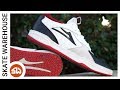 Lakai Tony Hawk Proto Weartest