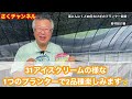 【20日わけぎ・葉にんにくプランター栽培】ニンニクがプランター栽培で出来ちゃいます 20日で収穫できる薬味って何？？さくチャンネルver23【園芸】【初心者】【ガーデニング】【家庭菜園】