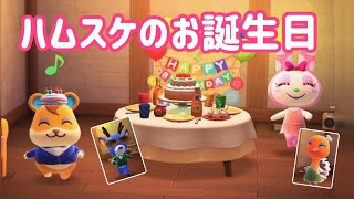 [あつ森]5月30日はハムスケの誕生日♪可愛いハムスケバースディパーティー♪