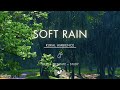 Soft Rain On Ground | NO ADS | Soothing Rain Sounds For Sleeping