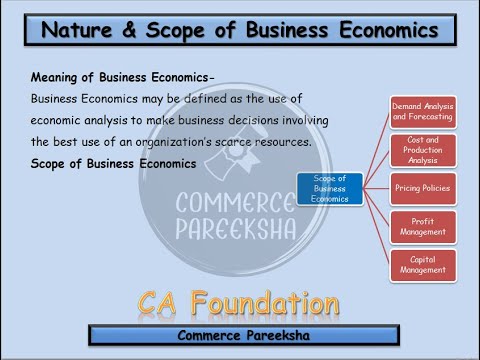 CA FOUNDATION | BUSINESS ECONOMICS | NATURE & SCOPE OF BUSINESS ...