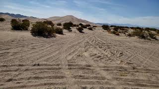 The Amargosa Sand Dunes - Big Dune - VIDEO TOUR (Nevada)