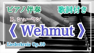 音大院卒【ピアノ伴奏】リーダークライス Op.39-9《 悲しみ 》R. シューマン【歌詞付き】Wehmut