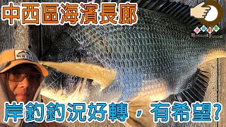 #246 More fishing coming near the shore?  | HK Fishing | Shore | 【NEW Insta360 GO2 64GB】