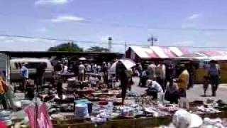 la pulga del 175 en dallas texas music jinni