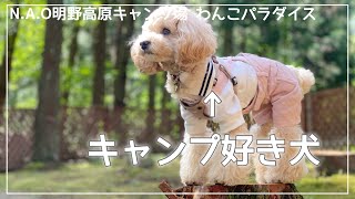 【愛犬とキャンプ】初めての2泊3日キャンプで気づいたこと！@N.A.O明野高原キャンプ場 わんこパラダイス【トイプードル】【プーチャンネル】