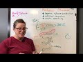 how does metformin work pharmacology for nurses