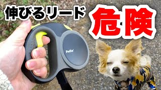 【危険】伸びるリードを使うとこうなります