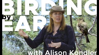 Birding by Ear 👂 feat. ALISON KONDLER | mountain birds in GENESEE PARK EVERGREEN | LETS GO BIRDING 🐦