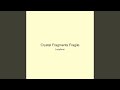 Crystal Fragments Fragile
