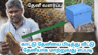 காட்டு தேனீ To பெட்டி தேனீ அடைத்து வளர்ப்பது எப்படி | Natural bee to Box bee