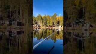The Ultimate Finnish Fall Adventure: Rowing on a Beautiful Lake!