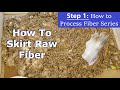 How To Skirt A Fleece - STEP 1: How to Process Fiber Series