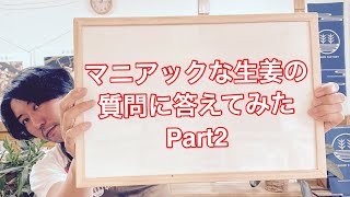 生姜のマニアックな質問に答えてみたpart2 　生姜の育て方「生姜の獣害」「田んぼで育つ？」「肥料はあげますか？」20200412