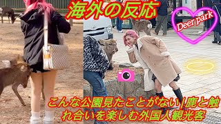 【海外の反応】こんな公園見たことがない || 鹿と触れ合いを楽しむ外国人観光客 !! 奈良 日本 鹿 !! 奈良公園 ‼️