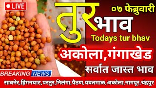 🔴तुर,१० हजार भावाची मागणी,सर्वात जास्त भाव,अकोला काल संध्याकाळचे  तुर भाव,०७ फेब्रु.Tur bhav today🌱