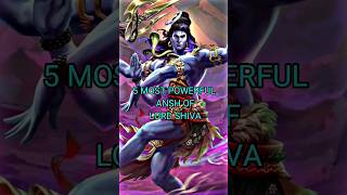 5 Most Powerful Ansh of Lord Shiva🔥🚩 | Wait For End #shorts #hanumanji ? \u0026 many more 😮🤯