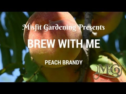How To Make Peach Brandy How To Make Peach Brandy