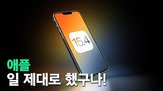 애플 - 오랜만에 일 제대로 했구나!