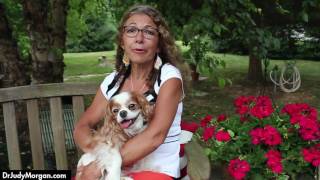 Dr. Judy Morgan on Heart Health