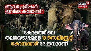 ആനപ്രേമികൾ ഇവിടെ കമോൺ! These are the top 10 'Celebrity Tuskers' in Kerala | Elephant Story | N18V