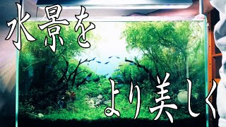 【ｱｸｱﾘｳﾑ】ADA ライトスクリーン設置【めっちゃオススメ】