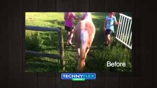 Molly's Story - Part 1- Curing Laminitis Naturally with Technyflex - Horse Talk TV