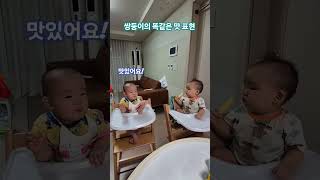 #쌍둥이 #双子 #twins #baby #육아 D+356 쌍둥이의 똑같은 맛 표현