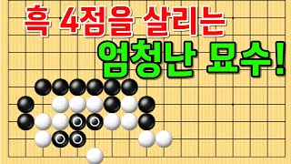 사활 바둑 묘수 - 흑 4점을 살리는 엄청난 묘수가 있습니다! 흑을 살려보세요~ #바둑 #사활 #바둑강좌