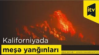 Kaliforniyada meşə yanğını şiddətlənib