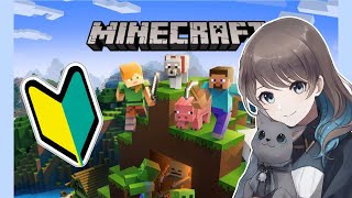 #12[マインクラフト/Minecraft]初心者がやるのんびりマイクラ！倉庫がつくりたいんじゃー！