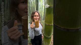 あまり知られていないが、竹の幹の水を飲むと