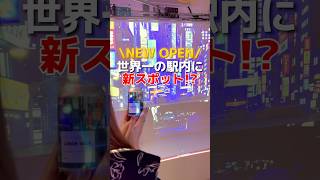 【新宿】世界イチの駅にデパ地下?! 最新スポット #新宿グルメ #東京グルメ