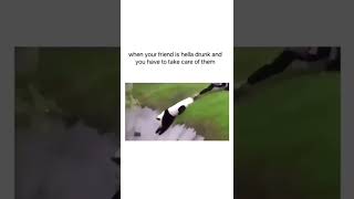 Drunk Panda - Like Taking Care Of Drunk Friend - Meme