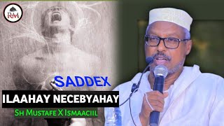 (3) Saddex Dadkuu Ilaahay u Necebyahay┇Sh Mustafe X Ismaaciil