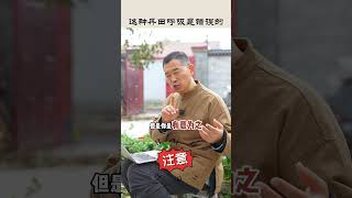 【史楍酼】这种丹田呼吸是错误的 #zhanzhuang #养生 #站桩