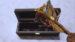 Eternal Bloom 24K Gold Dipped Rose Unboxing