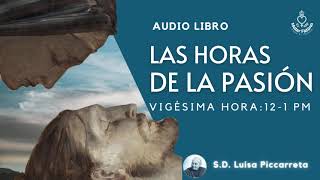 20. VIGÉSIMA HORA: ( 12- 1 PM):  Primera Hora de Agonía en la Cruz  La primera palabra