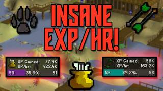 INSANE LEVELING - Trouble Brewing Guide (NERFED)