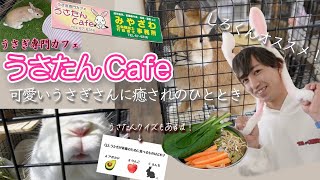 【うさぎ専門カフェ】うさたんCafe🐰しろくんオススメの癒され方をご紹介🥕