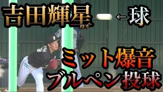 吉田輝星投手の唸る爆音ブルペン投球フェンス付き！！日ハム沖縄キャンプでの紅白戦先発前！