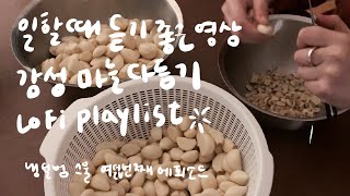 [냉털범 마늘 3kg 다듬기편] 집중력UP • 분위기 좋은 카페같은 집에서 다듬는 마늘 | lofi garlic playlist 5min