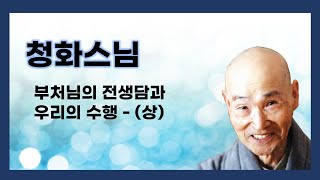 청화스님 - 부처님의 전생담과 우리의 수행 - (상)