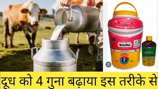 Ostovet Calcium || पशुओं में किन-किन चीजों में काम करता है? || Ostovet and vimeral virbac || cow ||