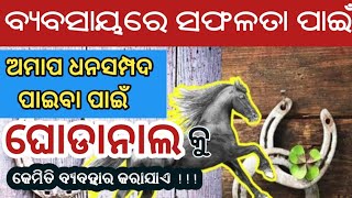 ବ୍ୟବସାୟରେ ସଫଳତା ପାଇଁ ଘୋଡାନାଲ#vastu #vastushastra #vastutips #indianculture #shastra #bastubichar